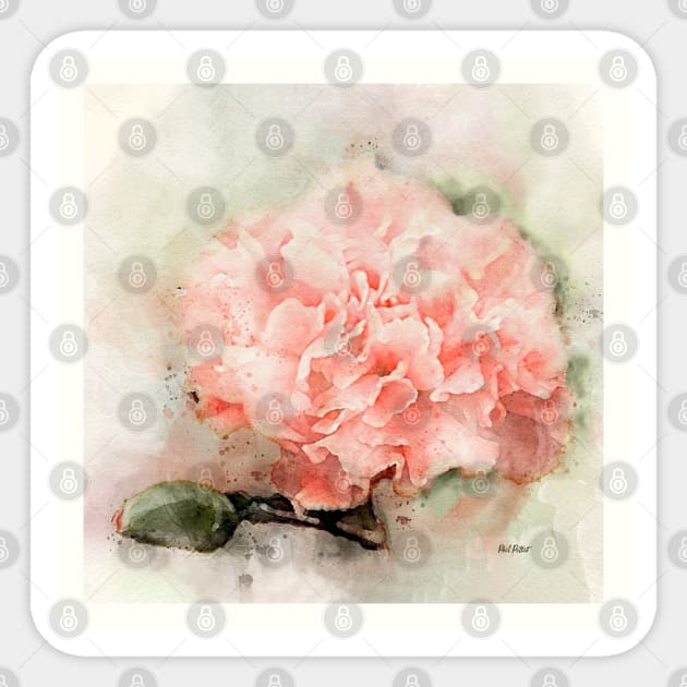 watercolor carnation Sticker by phleep